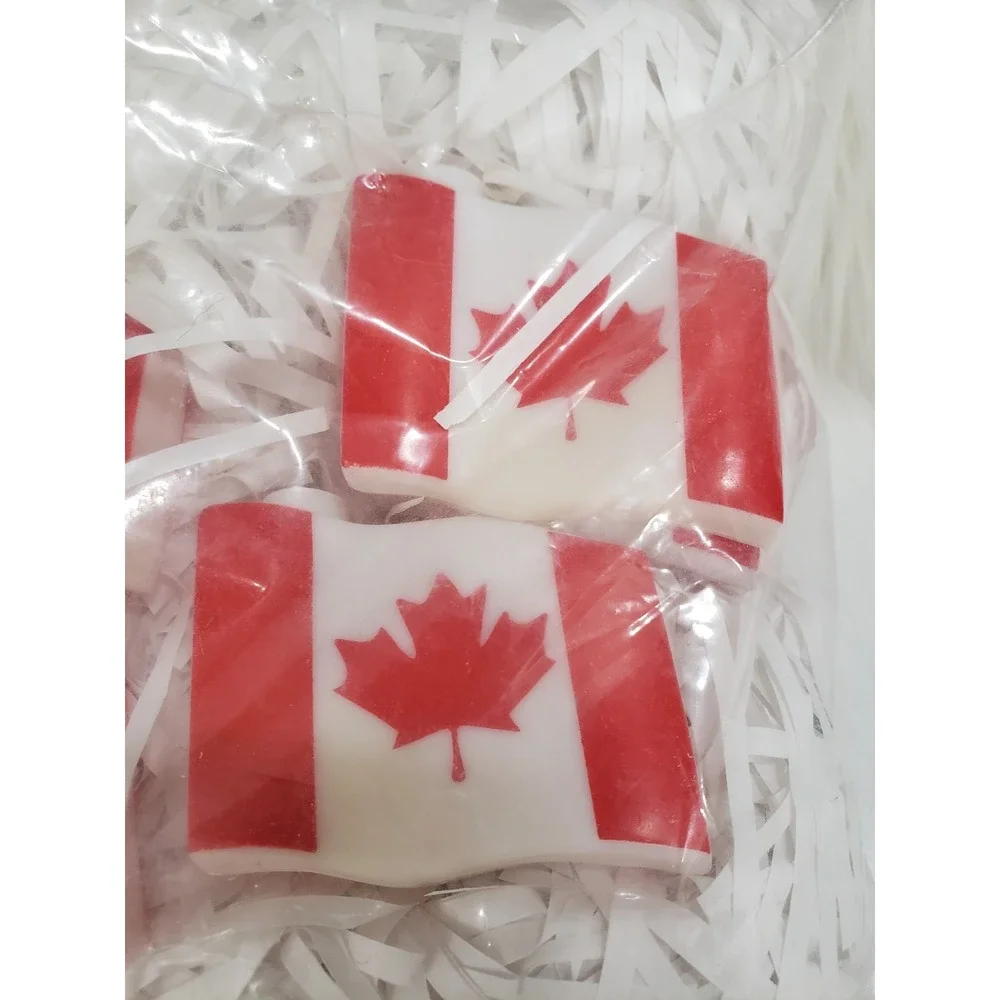 NEW Vintage Canada Canadian STRING LIGHTS‎ light up porch decor party